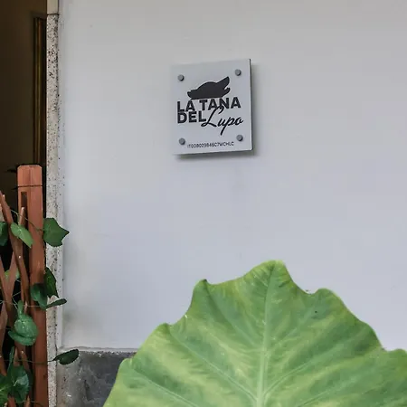 La Tana Del Lupo Vintage Loft * Dolceacqua